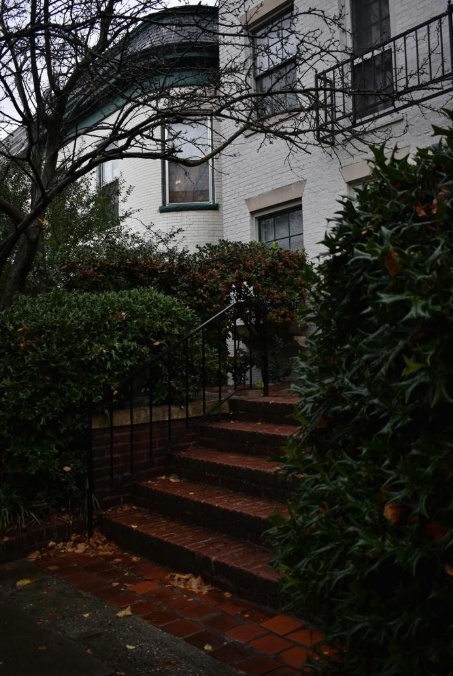 HerbstCheck für Eingangspodeste und Außentreppen: Laub, Feuchtigkeit & Rutschgefahr HerbstCheck für Eingangspodeste und Außentreppen: Laub, Feuchtigkeit & Rutschgefahr